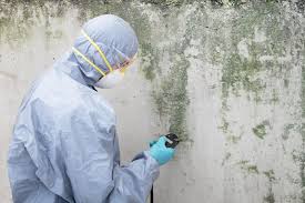 Professional Mold Inspection in Apison, TN